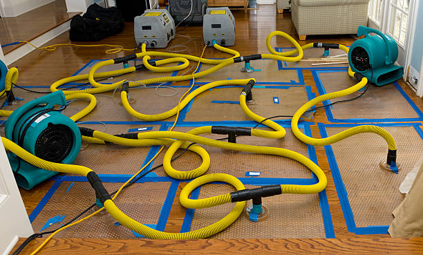 Professional Storm Water Damage Restoration technician working in Utica, PA